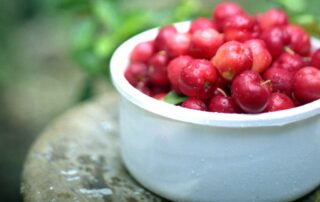 Acerola, benefícios para a saúde
