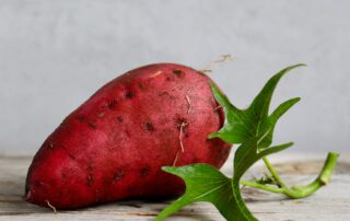 Batata doce - mudas