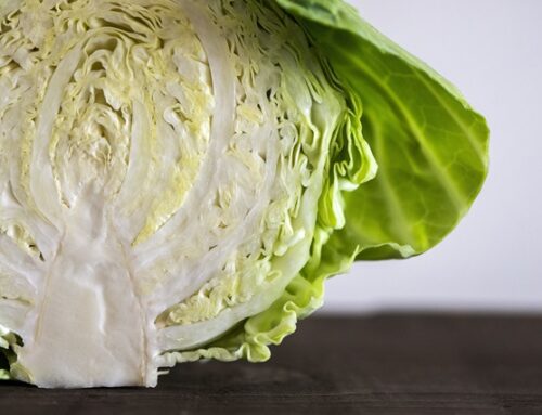 Receitas com repolho